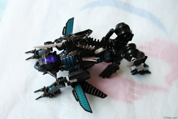 Rotf Ravage Alternate Mode  (19 of 28)